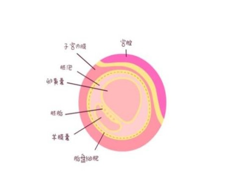 深圳供精试管：前壁下怀孕妇注意事项一览，附三种缓解不适的方法