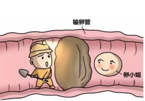 胚胎移植后的饮食有讲究，帮助你更好地着床