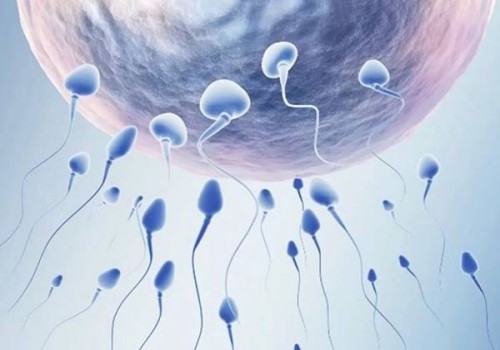 深圳三代试管助孕：郑州试管婴儿一次多少钱？让你真正了解费用构成