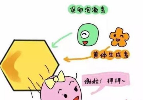 深圳试管婴儿价格：染色体异常会导致孕期流产，而16三体综合征是最常见原因