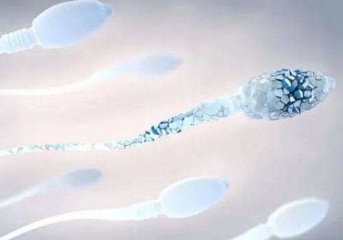 深圳试管助孕公司：生殖疱疹对试管婴儿的影响，有的看过来