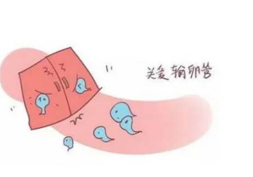 深圳正规助孕机构：俄罗斯供卵试管婴儿在低成本的情况下，拥有一个不可思议的宝宝