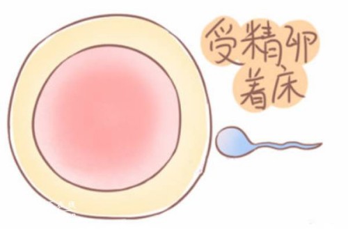 深圳助孕生子：2023玉溪市人民医院试管婴儿医疗团队介绍，助孕成功率多少
