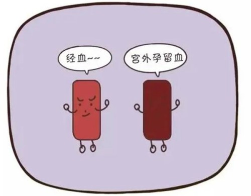 深圳正规助孕机构：试管婴儿移植这样做成功率更高，掌握关键成功不是问题