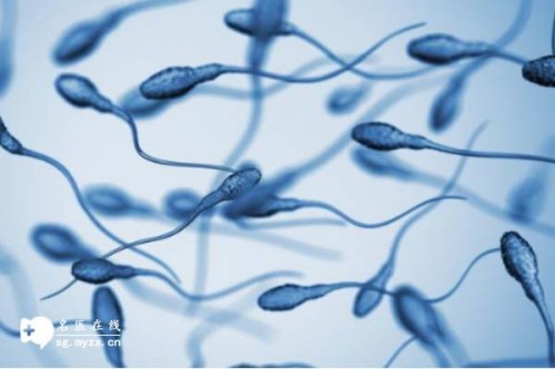 深圳助孕中心：虾仁给小孩做应该怎么做,怎么给宝宝做虾仁辅食