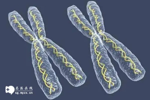 深圳试管婴儿价格：双侧输卵管切除后不能自然受孕，附两种辅助生育的方式