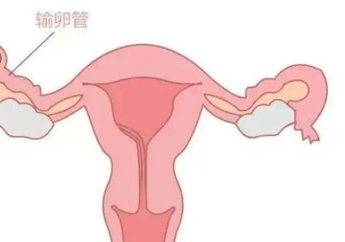 深圳助孕机构：不孕症能否通过腹腔镜诊断？腹腔镜在不孕症诊治中的应用