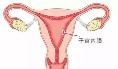 深圳供卵试管：父母如何教会孩子正确的洗脸,孩子正确的洗脸方法有哪些