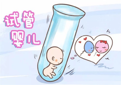 鉴定胎儿性别是违法行为！但是符合这些情况的女性也可以做胚胎筛查