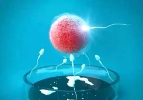 深圳正规助孕机构：结婚多年难孕难育夫妻进行试管婴儿助孕应该要怎么做-