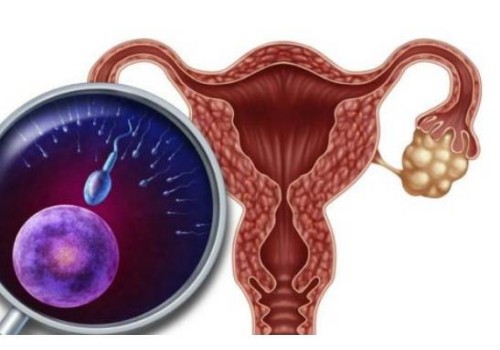 深圳助孕公司：怀孕后一定要检查甲状腺功能！甲功检查的意义很重要