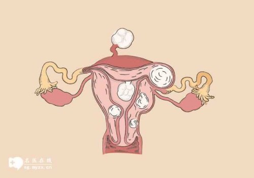 深圳正规助孕机构：盘点试管婴儿精卵不结合的原因，多半和精子质量有关