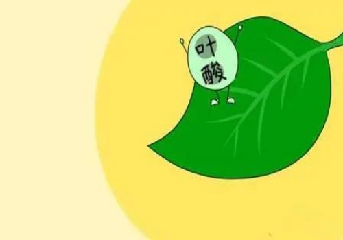 深圳三代试管助孕：保胎不一定要住院，在家卧床效果一样好