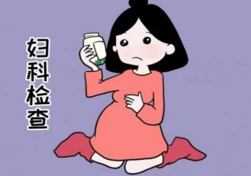 了解试管婴儿胚胎发育过程，帮助胚胎着床率提升